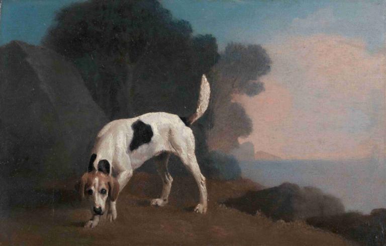 Foxhound on the Scent,Lisičji pes na sledi,George Stubbs,Oljna slika,Oljna slika, brez ljudi, živalski fokus