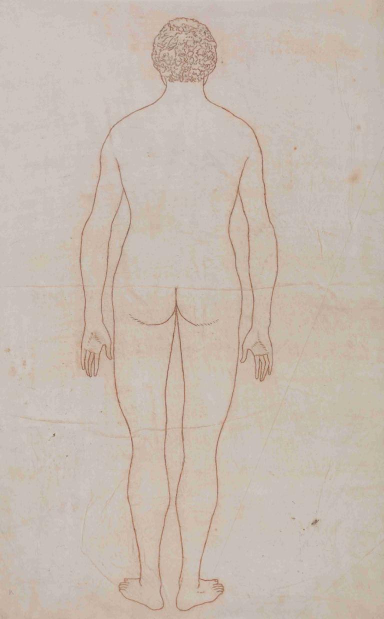 Human Body, Posterior View,Menselijk lichaam, achteraanzicht,George Stubbs,Schetsen,Schetsen, ezel, solo