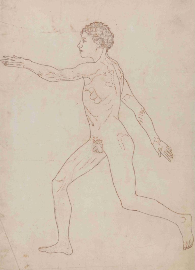 Human Figure, Lateral View,Sosok Manusia, Tampak Samping,George Stubbs,Sketsa,Sketsa, 1 anak laki-laki