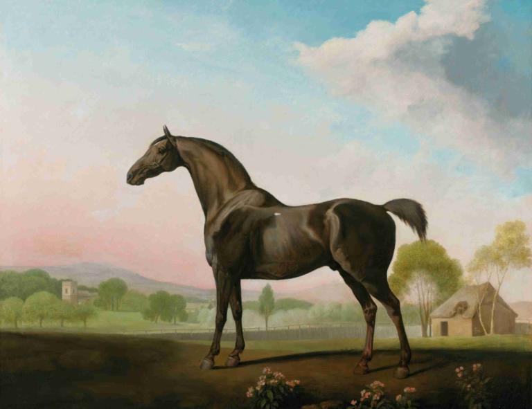 Lord Grosvenor's Sweet William In A Landscape,Lord Grosvenor's Sweet William Dalam Lanskap,George Stubbs