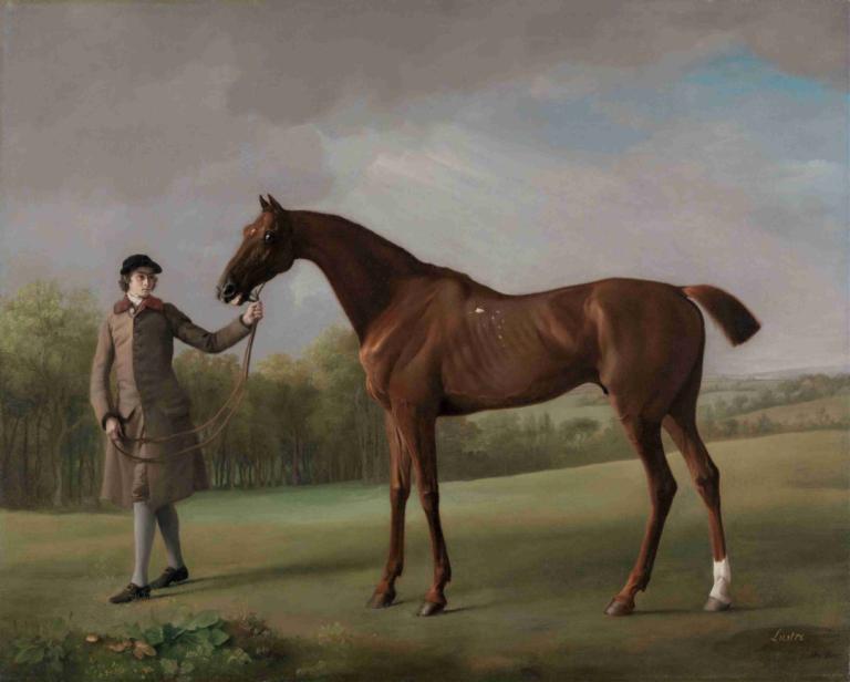 Lustre, held by a Groom,Lustre, sulhasen hallussa,George Stubbs,Öljymaalaus,Öljymaalaus, ulkona, 1 poika