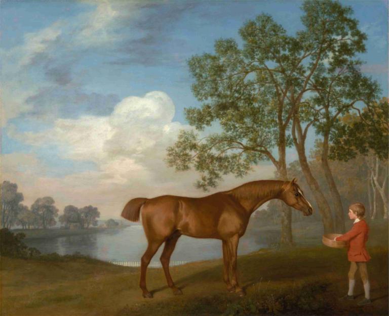 Pumpkin with a Stable-lad,Gresskar med en stallgutt,George Stubbs,Oljemaleri,Oljemaleri, tre, utendørs, Sky