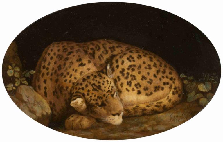 Sleeping Leopard,Sovende leopard,George Stubbs,Oljemaleri,Oljemaleri, ingen mennesker, dyr