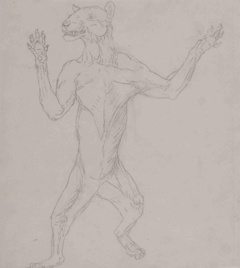 Tiger Body, Standing in Human Posture,虎身，人立,George Stubbs,乔治-斯塔布斯,素描,素描, 单色, 草图, 怪物, 没有人类, 独奏, 灰度, 传统媒体, 牙齿