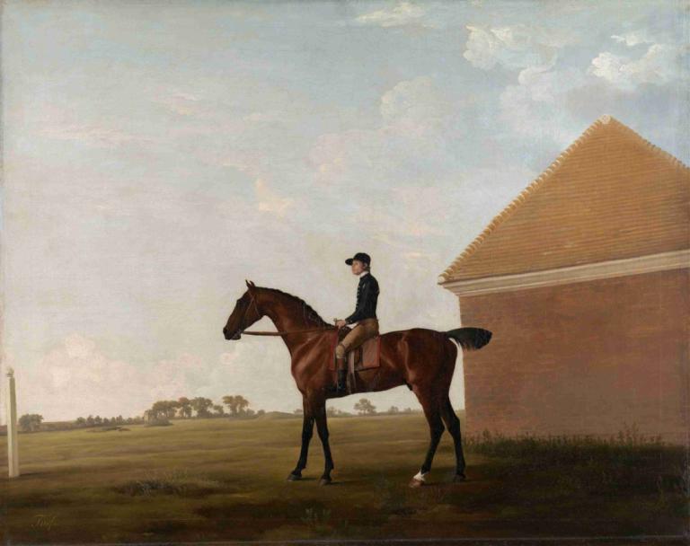 Turf, with Jockey up, at Newmarket,草地赛，骑师上场，纽马克特赛道,George Stubbs,乔治-斯塔布斯,油画,油画, 马, 骑术, 户外, 1男孩, 草, 男性焦点, 独奏