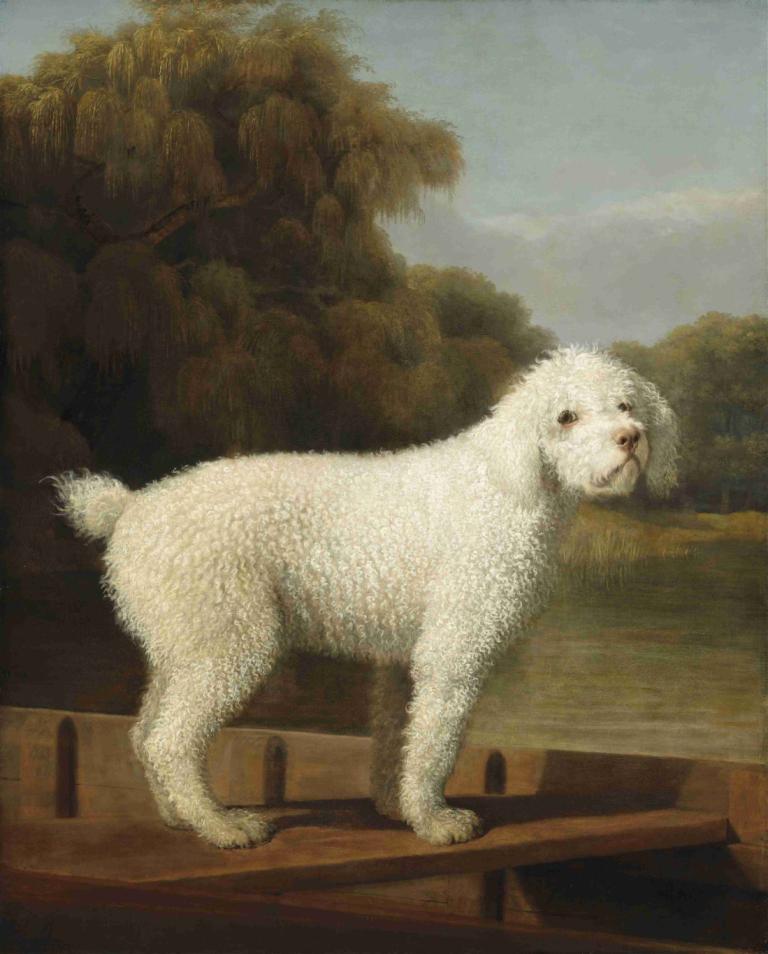 White Poodle in a Punt,Pudel Putih dalam sebuah Punt,George Stubbs,Lukisan cat minyak,Lukisan cat minyak