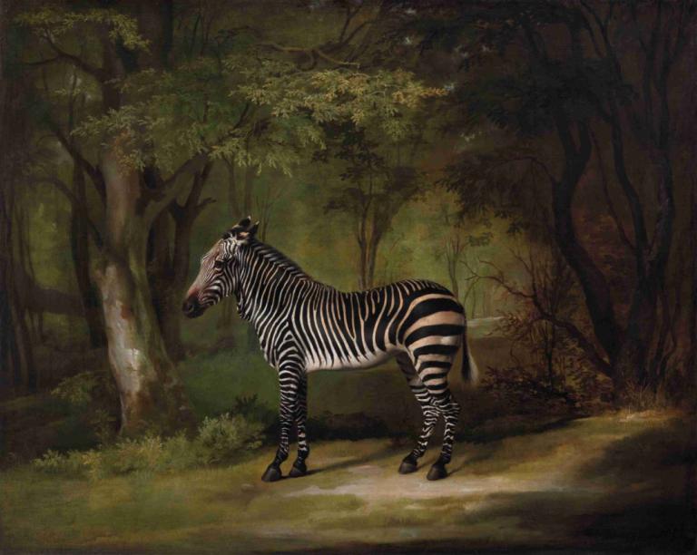 Zebra,George Stubbs,Lukisan cat minyak,Lukisan cat minyak, tidak ada manusia, pohon, alam, hutan