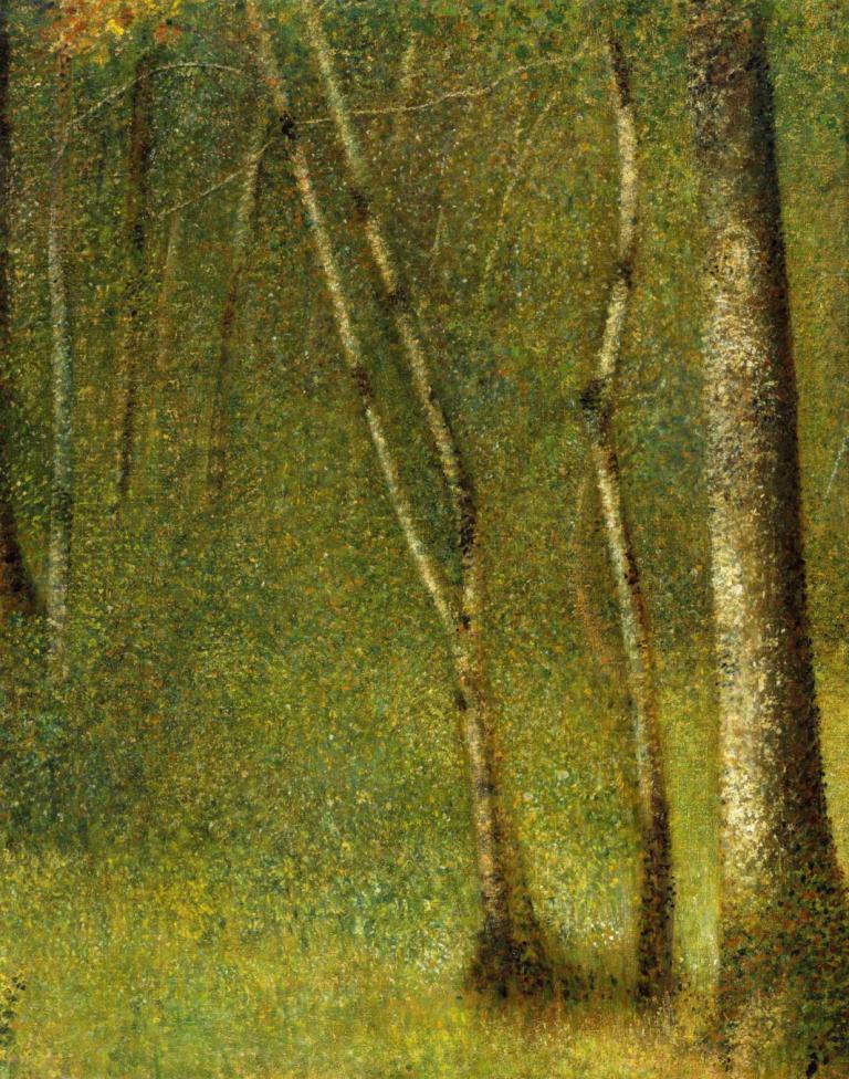 The Forest at Pontaubert,Georges Seurat,Oil Painting,Oil Painting, no humans, nature, forest, tree, outdoors