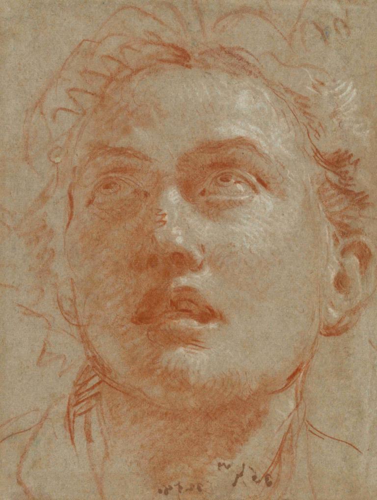 Head of a Man Looking Up,Cabeza de hombre mirando hacia arriba,Giovanni Battista Tiepolo,Bosquejo,Bosquejo