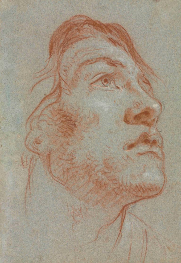 The Head of a Young Man Looking Upwards to the Right