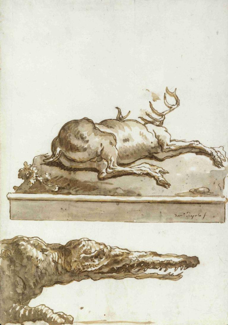 The Head of a Crocodile,Capul unui crocodil,Giovanni Domenico Tiepolo,Gravura din cupru,Gravura din cupru