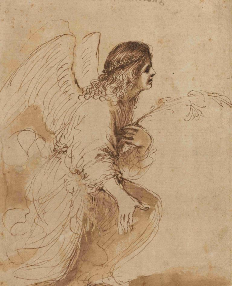 The Angel of the Annunciation,수태고지의 천사,Guercino,스케치,스케치, 날개, 쪼그리고 앉는, 독주, 단색화, 여자 1명, 갈색 테마, 세피아, 깃털 달린 날개