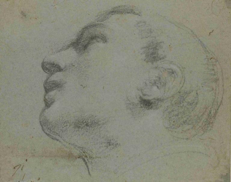 The head of a man turned to the left,남자의 머리가 왼쪽으로 돌아갔다.,Guercino,스케치,스케치, 독주, 단색화, 1남, 남성 집중, 전통 미디어, 프로필