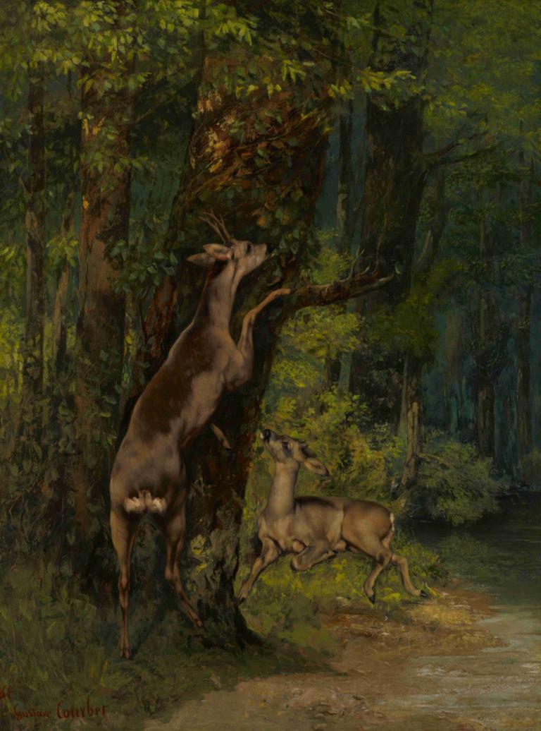 Deer in the Forest,Ormandaki Geyik,Gustave Courbet,Yağlı boya,Yağlı boya, insan yok, ağaç, doğa, orman