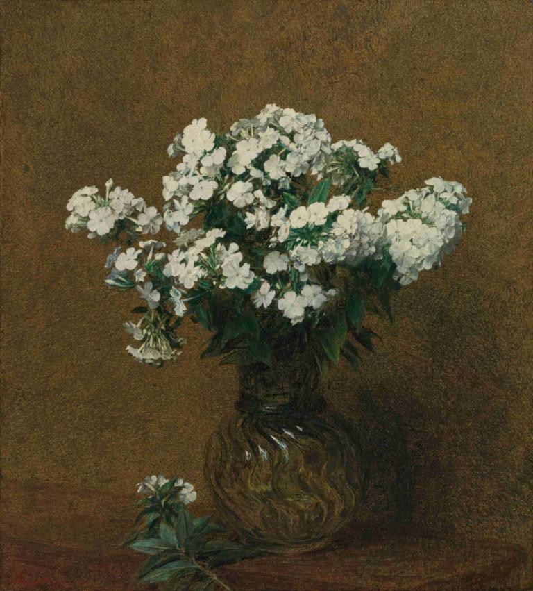 Phlox Blancs Dans Un Vase,花瓶中的白色凤仙花,Henri Fantin-Latour,亨利-方丹-拉图尔,油画,油画, 花, 没有人类, 白色的花, 植物, 简单的背景