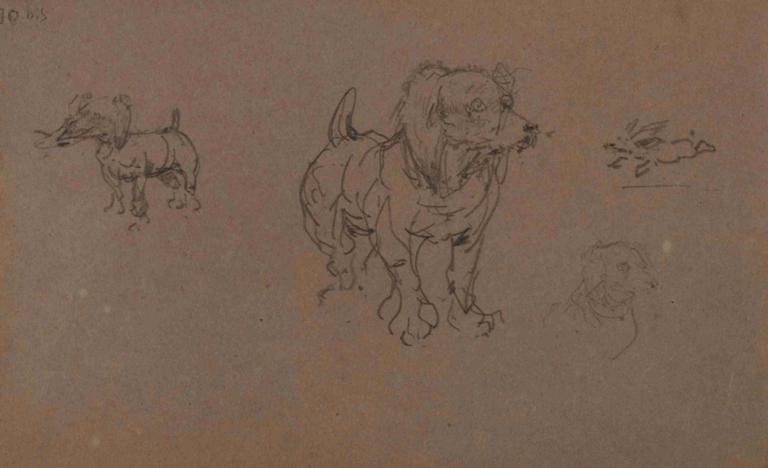 Études de chiens,Köpek çalışmaları,Henri de Toulouse-Lautrec,Taslak,Taslak, hayvanlaştırma, insan yok, hayvan