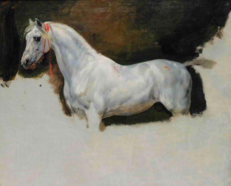 Study of a white horse,Studie van een wit paard,Horace Vernet,Olieverf,Olieverf, geen mensen