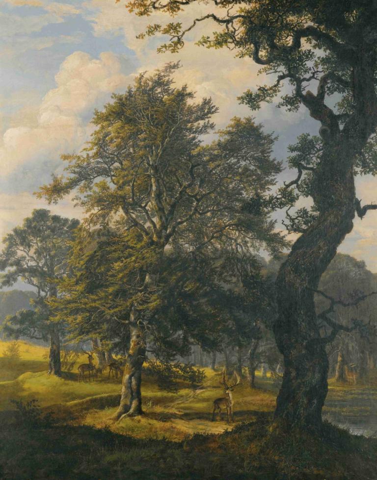 Dyrehaven Near Copenhagen,J.C. Dahl,Oil Painting,Oil Painting, tree, outdoors, scenery, grass, sky, cloud