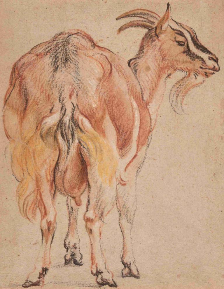 Goat,Jacob Jordaens,Color Sketch,Color Sketch, no humans, traditional media, standing, full body, horns