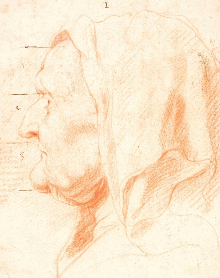 Head of an Old Woman, in Left Profile,Hlava staré ženy v levém profilu,Jacob Jordaens,Barevný náčrt