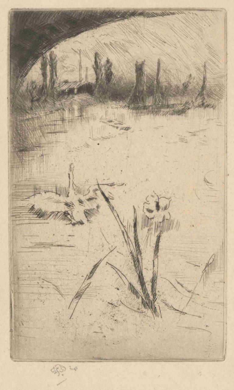 Swan and Iris,James McNeill Whistler,Copperplate Etching,Copperplate Etching, monochrome, tree, comic