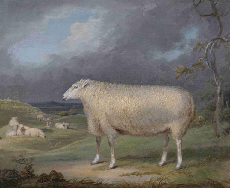 A Border Leicester Ewe,James Ward,Oil Painting,Oil Painting, no humans, tree, outdoors, cloud, grass, sheep