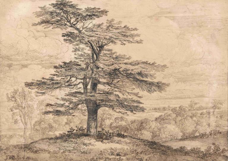 A Cedar on a Rise with a Herd of Deer Grouped Beneath its Shade,James Ward,Copperplate Etching