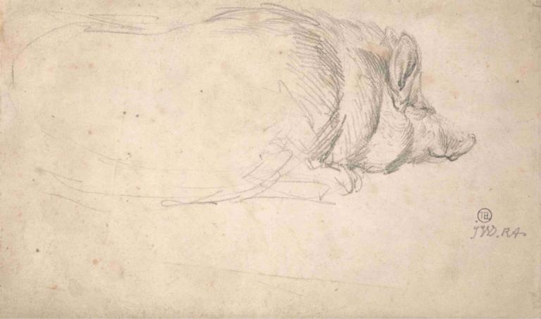 A Hog, Sleeping,James Ward,Sketch,Sketch, dog, monochrome, no humans, sketch, animal, wolf, traditional media