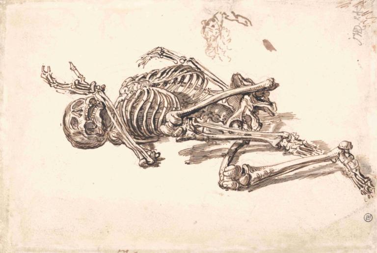 A Human Skeleton,Человеческий скелет,James Ward,Джеймс Уорд,Эскиз,Эскиз, нет людей, скелет, монохромный