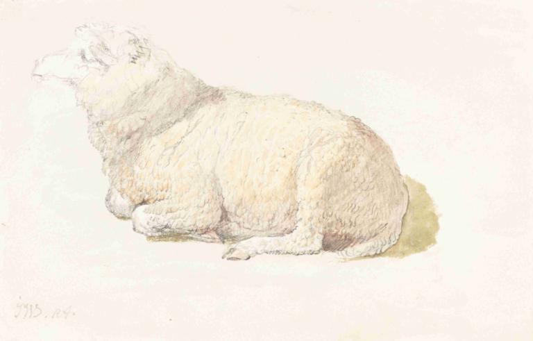 A Sheep Resting,Un mouton au repos,James Ward,Croquis,Croquis, pas d'humains, mise au point sur les animaux