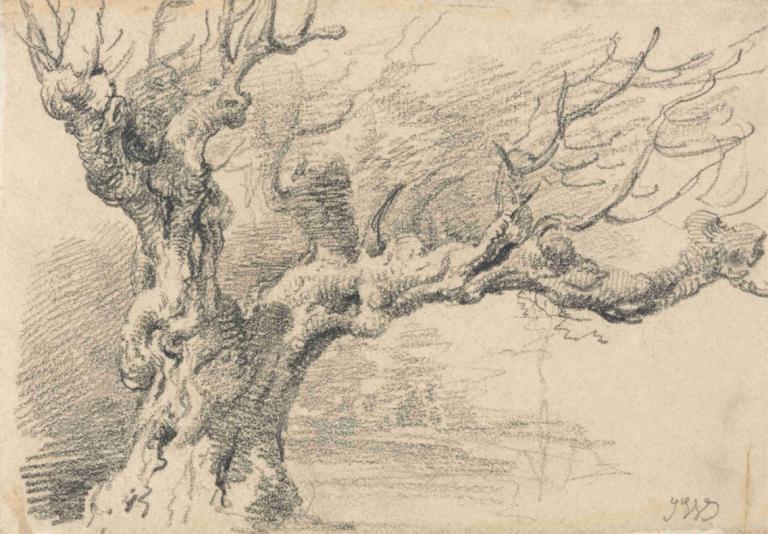 An Old Oak Tree,James Ward,Sketch,Sketch, monochrome, traditional media, antlers, no humans, tree, solo