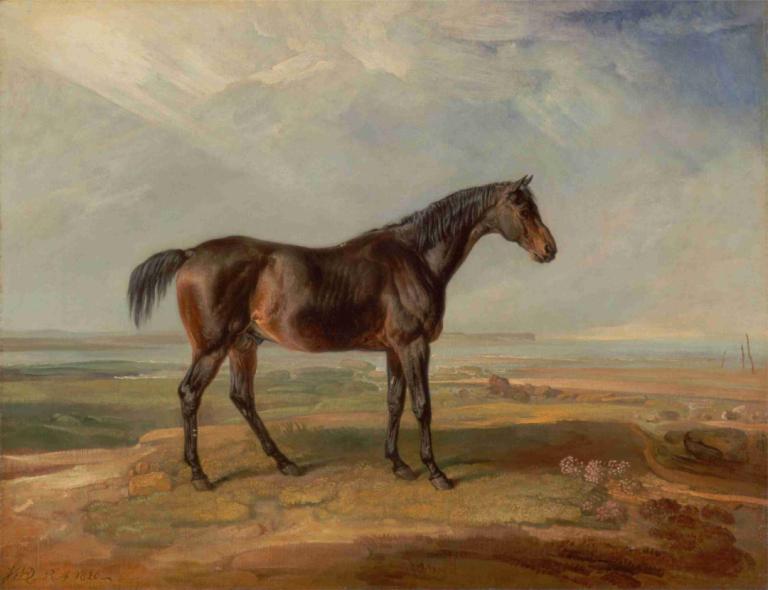 Dr. Syntax, a Bay Racehorse, Standing in a Coastal Landscape, an Estuary Beyond,Dr. Syntax