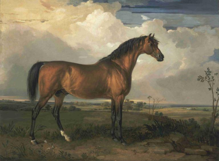 Eagle, a Celebrated Stallion,Kartal, Ünlü Bir Aygır,James Ward,Yağlı boya,Yağlı boya, insan yok, bulut