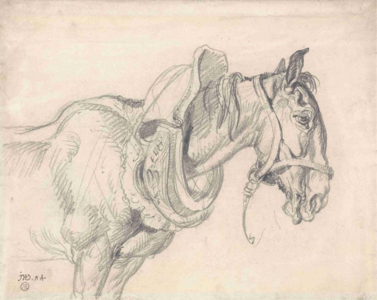 Head and Shoulders of a Cart Horse,Hoofd en schouders van een karrenpaard,James Ward,Schetsen,Schetsen, paard