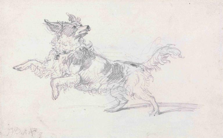 Lady Londonderry's Dog,Der Hund von Lady Londonderry,James Ward,Skizze,Skizze, keine Menschen, einfarbig