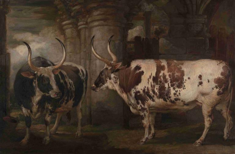 Portraits of Two Extraordinary Oxen, the Property of the Earl of Powis,Potret Dua Lembu Luar Biasa