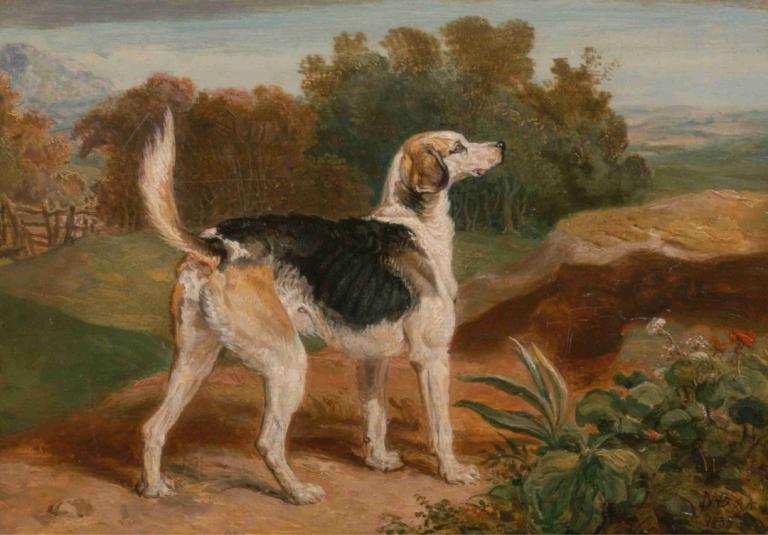 Ravager, One of the Lambton Hounds,掠夺者，兰顿猎犬之一,James Ward,詹姆斯-沃德,油画,油画, 没有人类, 狗, 户外, 动物焦点, 传统媒体, 树, 衬套, 假传统媒体