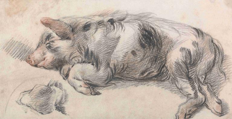 Sleeping Pig,Spalni prašič,James Ward,Barvna skica,Barvna skica, brez ljudi, živalski fokus, žival, laganje