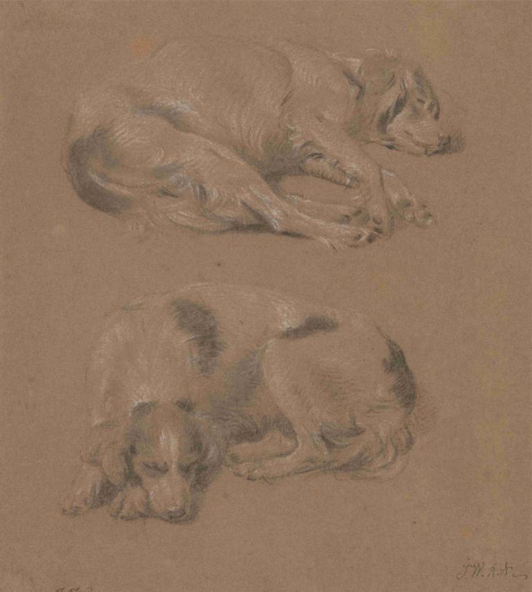 Studies of Dogs lying down,Študije o ležečih psih,James Ward,Skica,Skica, brez ljudi, podpis