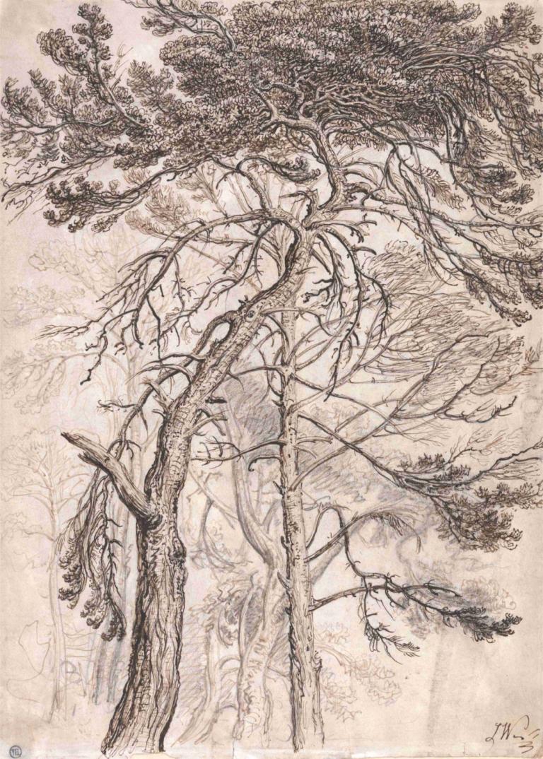 Study of Trees,Mempelajari Pohon,James Ward,Pengetsaan Pelat Tembaga,Pengetsaan Pelat Tembaga