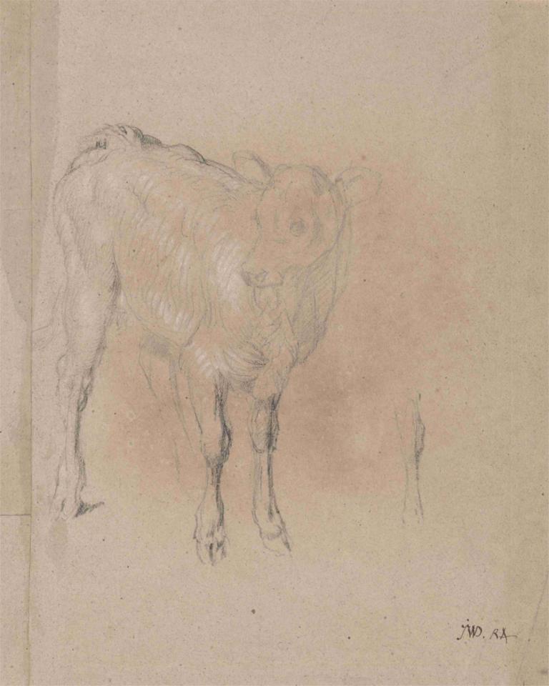 Study of a Calf,Изучение теленка,James Ward,Джеймс Уорд,Эскиз,Эскиз, животное, монохромный, нет людей