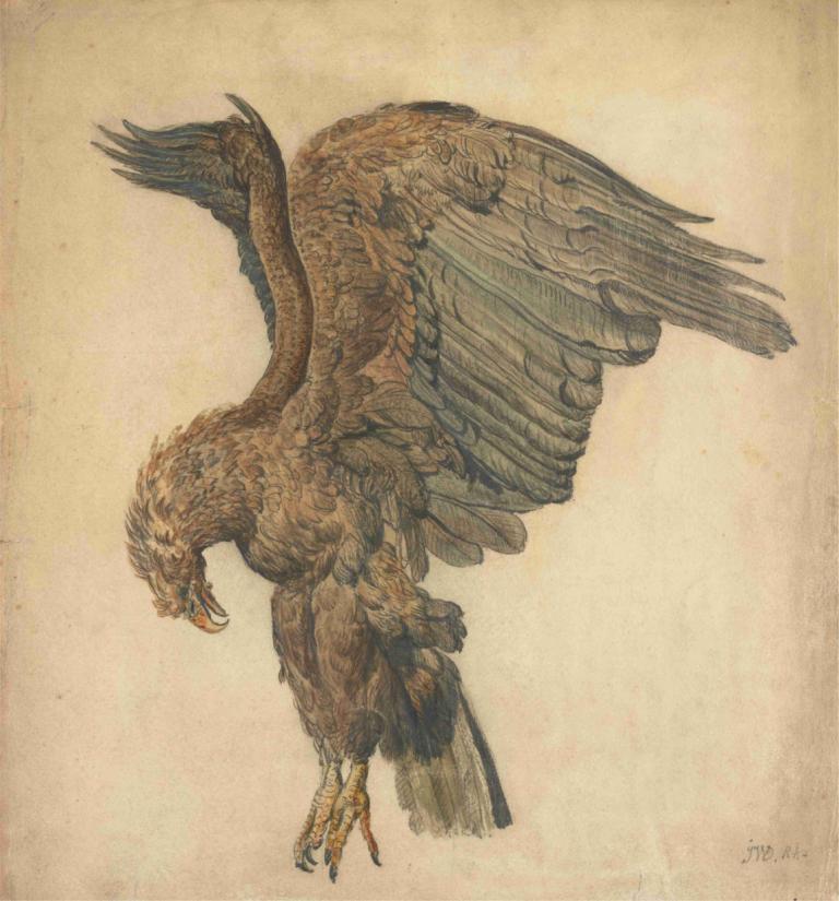 Study of a Plunging Eagle,Исследование падающего орла,James Ward,Джеймс Уорд,Картина Маслом,Картина Маслом