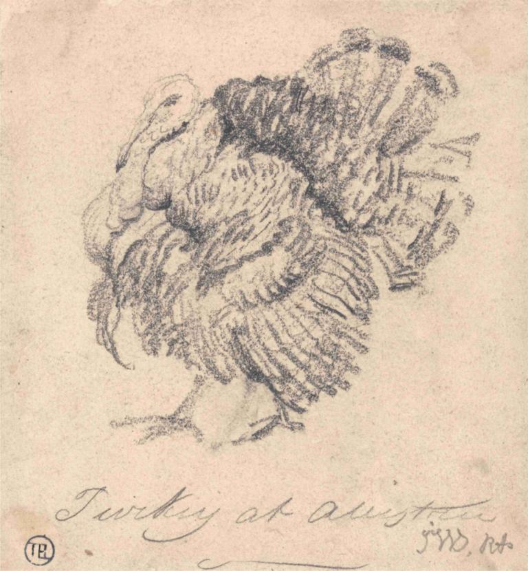 Study of a Turkey,Исследование индейки,James Ward,Джеймс Уорд,Эскиз,Эскиз, монохромный, нет людей, птица