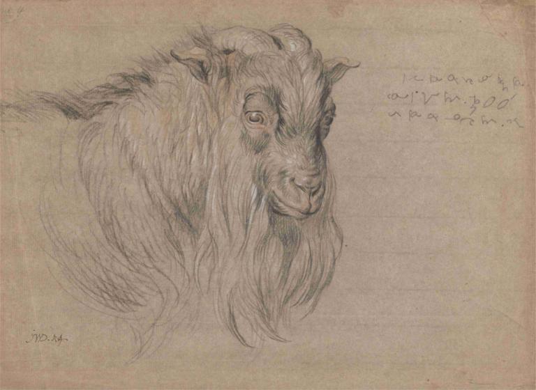 Study of the Head of a Ram,Studi tentang Kepala Domba Jantan,James Ward,Sketsa,Sketsa, tidak ada manusia