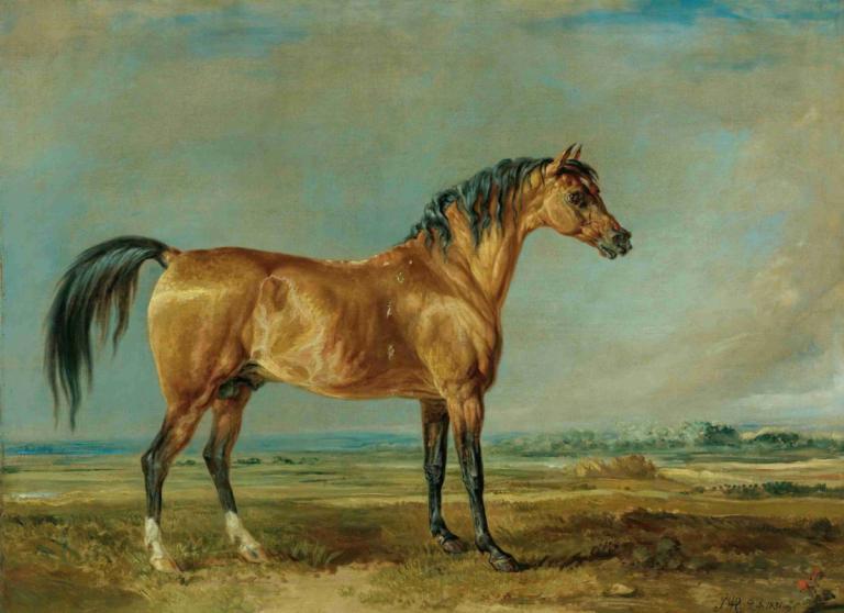 The Marquess Of Londonderry's Arabian Stallion In A Landscape