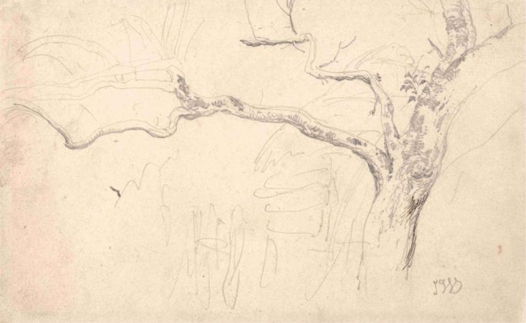 Tree Study,Studi Pohon,James Ward,Sketsa,Sketsa, pohon, tidak ada manusia, satu warna, media tradisional