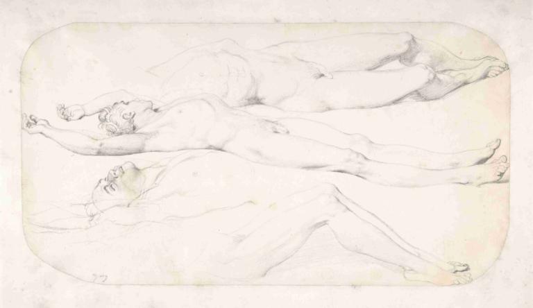 Studies for the Cadaver of Acron,アクロン死体の研究,Jean Auguste Dominique Ingres,ジャン・オーギュスト・ドミニク・イングル,スケッチ,スケッチ, ヌード