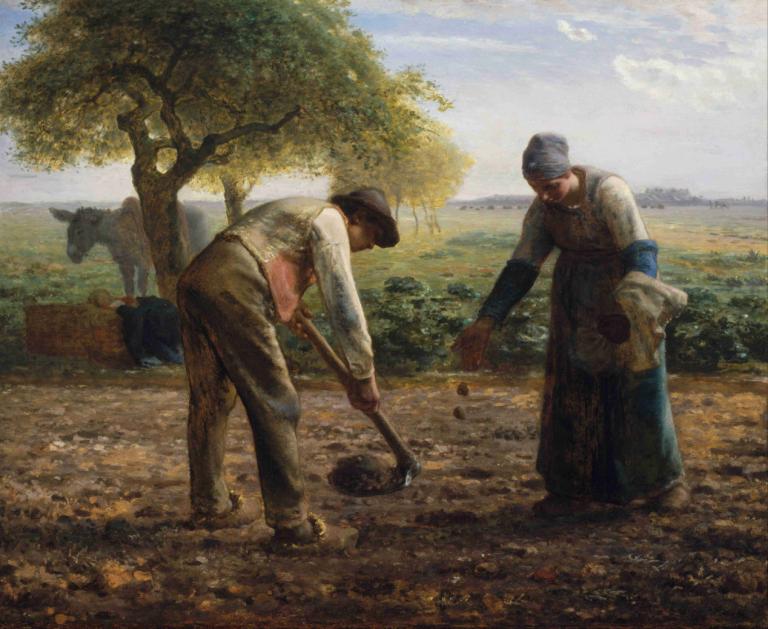 Potato Planters,Perunan kylvökoneet,Jean-François Millet,Öljymaalaus,Öljymaalaus, useita poikia, puu, ulkona