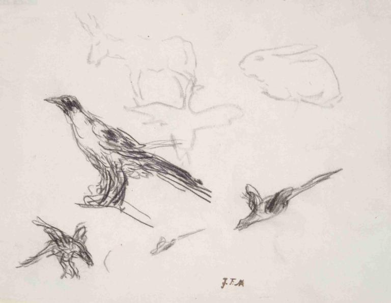 Ravens, Donkey, Rabbit, and Goose,Burung Gagak, Keledai, Kelinci, dan Angsa,Jean-François Millet,Sketsa