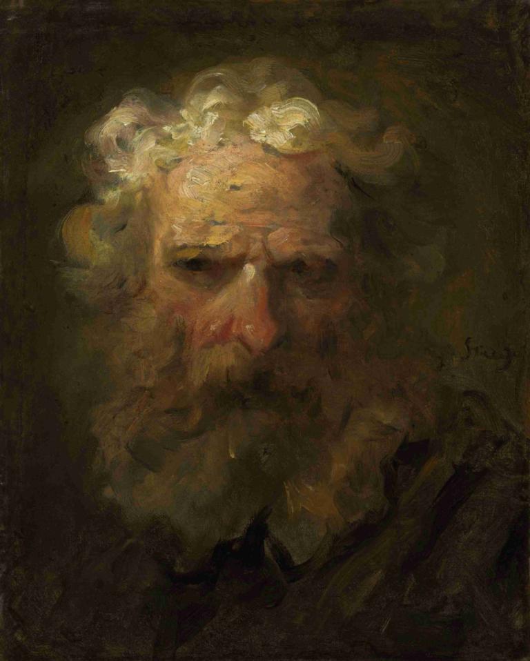 Head of an old man,Hoofd van een oude man,Jean-Honoré Fragonard,Olieverf,Olieverf, solo, 1 jongen